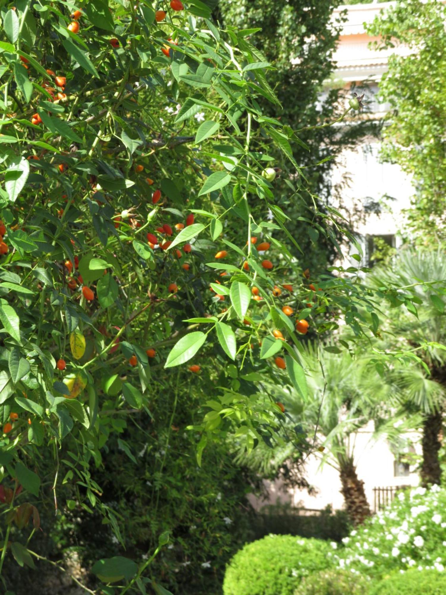 Clori Gaeta Hotel Luaran gambar